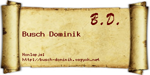 Busch Dominik névjegykártya
